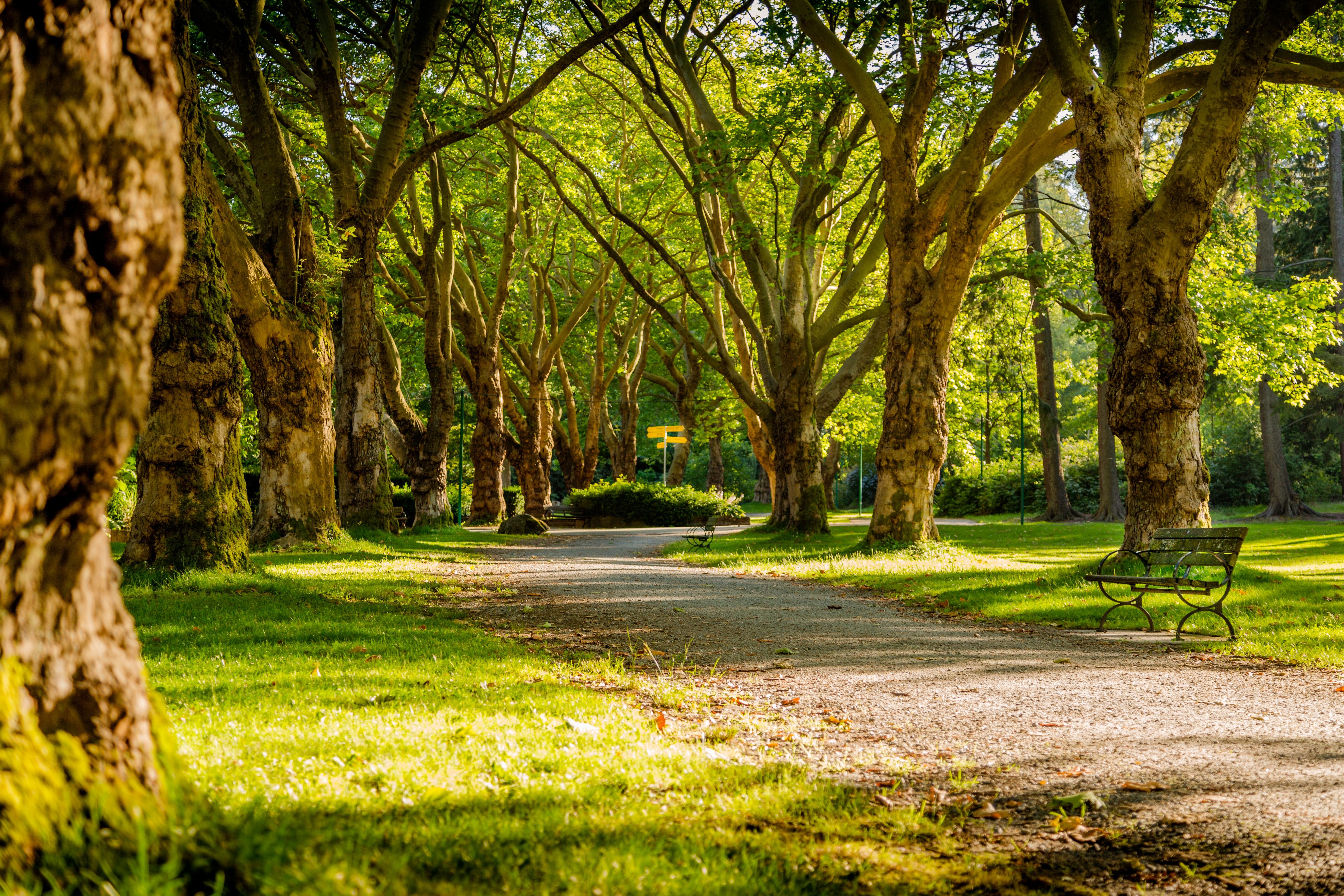 es la foto de un parque